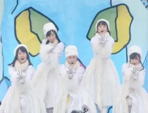 BD 日本演唱会：桃色圣诞 2015 Beautiful Survivors 蓝光套装 第一天资源（2BD/ISO/51G/百度网盘）-小文资源网
