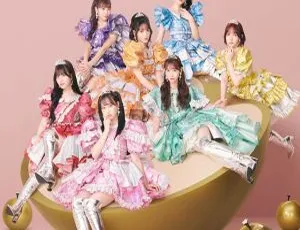 2024超萌FRUITS ZIPPER！24Bit - 48kHz高解析度Flac 865MB 百度网盘资源-小文资源网