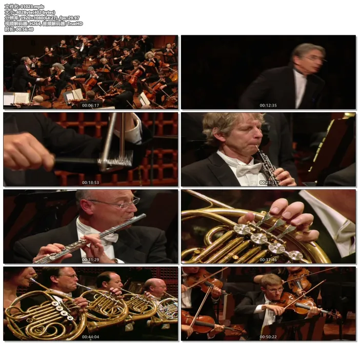 [BD欧美演唱会]追踪音乐足迹：马勒 Keeping Score – Mahler 2010 Blu-ray San Francisco Symphony[BDMV][54.7G][百度网盘]
