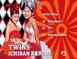 Twins 2002香港Ichiban兴奋演唱会双角度港版DVD-ISO 7.77G 百度网盘资源-小文资源网