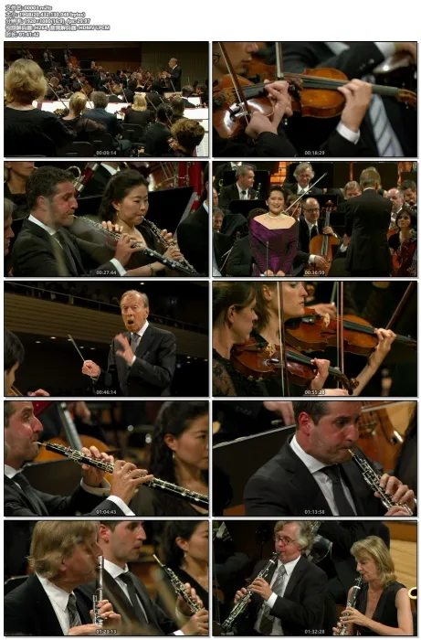[BD欧美演唱会]阿巴多 2013年卢塞恩音乐节开幕式 Claudio Abbado Conducts Brahms, Schoenberg Beethoven- Works for Orchestra 2013[M2TS][21.6G][百度网盘]