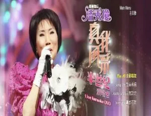 潘秀琼 2011 马来西亚版香港演唱会 DVD ISO 4.06G 网盘资源：真我风采半世纪 Karaoke 盛宴-小文资源网