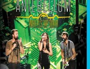 BD 高清！Lady Antebellum 战前女神 Wheels Up Tour 欧美演唱会 25.2G 百度网盘资源-小文资源网