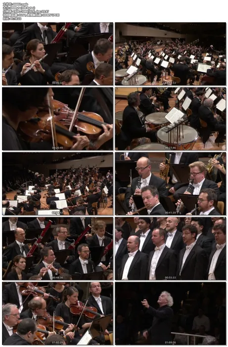 [BD欧美演唱会][Beethoven Symphonies Nos. 1-9 2016 Concert Video][BDMV 87.6G][百度网盘]