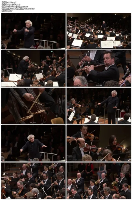 [BD欧美演唱会][Beethoven Symphonies Nos. 1-9 2016 Concert Video][BDMV 87.6G][百度网盘]