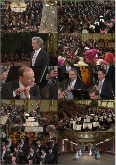 [BD欧美演唱会]2011年维也纳新年音乐会 Vienna Philharmonic New Year s Concert 2011[BDMV][39.4G][百度网盘]