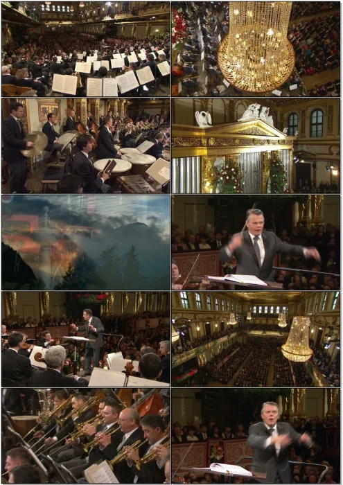 [BD欧美演唱会]2012年维也纳新年音乐会 Vienna Philharmonic New Year s Concert 2012[BDMV][43.4G][百度网盘]