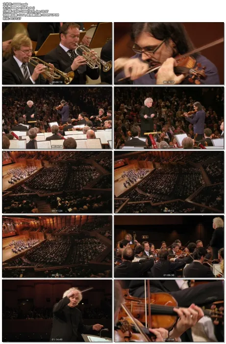 [BD欧美演唱会][柏林爱乐乐团2015欧洲音乐会 Europakonzert from Athens 2015][ISO 22.7G][百度网盘]