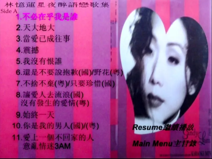 [DVD音乐专辑碟][林忆莲 – 星夜醉语恋情歌][KTV][2DVD-ISO][2.85G+3.05G][百度网盘]