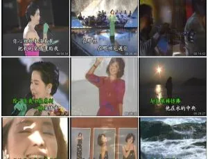 邓丽君优必胜精选KTV 2DVD-ISO音乐专辑碟 2.84G+3.08G 百度网盘资源-小文资源网