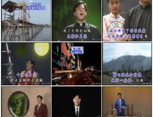 庄学忠老歌精选 2DVD 音乐专辑碟 3.98G+3.53G 百度网盘资源-小文资源网