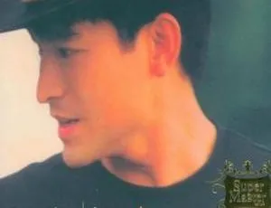刘德华1993 - 1998国语精选《笨小孩》DVD音乐专辑 4.27G ISO 百度网盘资源-小文资源网