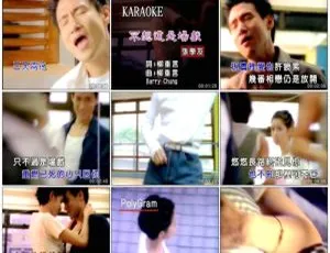 张学友个人档案 3 音乐专辑 DVD 碟 KTV 版 4.2G+3.99G 百度网盘资源-小文资源网