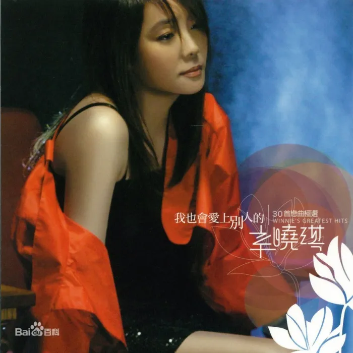 [DVD音乐专辑碟][辛晓琪 – 我也会爱上别人的MV+卡拉OK][2DVD-ISO][7.8G+7.4G][百度网盘]