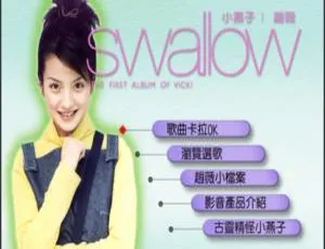 赵薇《飞越时空的精灵》Karaoke 卡拉OK DVD音乐专辑 2.25G 百度网盘资源-小文资源网