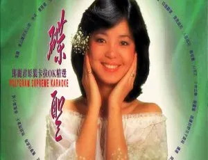 邓丽君碟圣原装卡拉OK精选VOL.1（DVD音乐专辑）：含A+B碟 百度网盘资源（3.91G+3.98G）-小文资源网