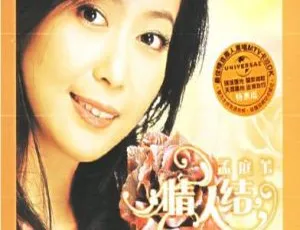 孟庭苇《情人结》卡拉OK DVD音乐专辑碟 3.7G 百度网盘资源-小文资源网