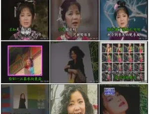 邓丽君优必胜精选KTV 2DVD-ISO音乐专辑碟 2.84G+3.08G 百度网盘资源-小文资源网