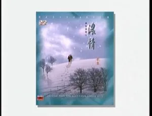 宝丽金群星香港演唱会：碟圣真开心之浓情歌集VOL.2 4.24G DVD ISO 百度网盘资源-小文资源网