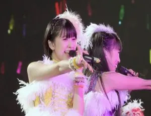 BD日本演唱会：桃色幸运草Z 2013日本巡演5TH DIMENSION 45.2G资源 百度网盘-小文资源网
