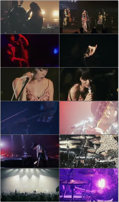 [BD日本演唱会][椎名林檎 Shiina Ringo – 椎名林檎と彼奴等がゆく 百鬼夜行 2015][BDMV][34.5G][百度网盘]