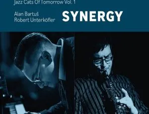 阿伦·巴图斯Alan Bartuš Synergy 2024 24Bit-48kHz高解析度Flac 532MB百度网盘资源-小文资源网
