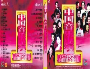 群星《中国音乐电视精品珍藏MV(一)》2DVD-ISO 4.11G+3.87G 百度网盘下载-小文资源网