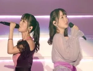 BD 珍藏！魔法少女奈叶 15 周年 2020 日本演唱会 Lyrical Live ，53.1G 百度网盘资源-小文资源网
