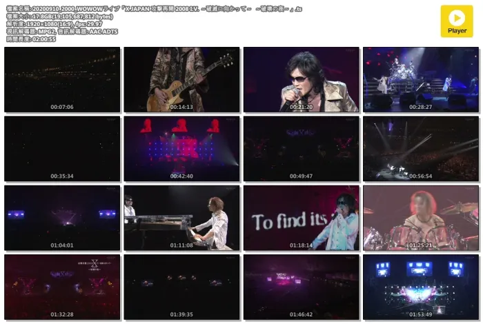 [BD日本演唱会]X JAPAN 攻撃再开 2008 I.V. ～破灭に向かって～ ～破壊の夜～[HDTV][TS][17.7GB][百度网盘]