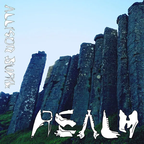 [Allison Burik – Realm 2024][24Bit-96kHz][Hi-Res Flac][570MB][百度网盘]