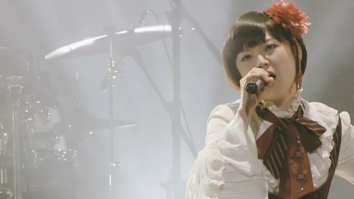 [BD日本演唱会][泽野弘之 SawanoHiroyuki[nZk] live 004 – 2V-ALK (初回限定盘)][CD+BDMV][25.2G][百度网盘]