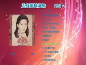 孟庭苇精选 2DVD-ISO 4.37G 音乐专辑碟 百度网盘资源-小文资源网