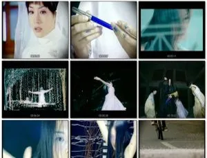 韩国群星《恋歌》DVD音乐专辑 6碟ISO 20.53GB 百度网盘资源-小文资源网