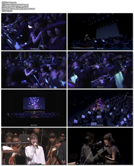 [BD日本演唱会][尼尔交响音乐会 NieR： Orchestra Concert 12018][BDMV][42G][百度网盘]