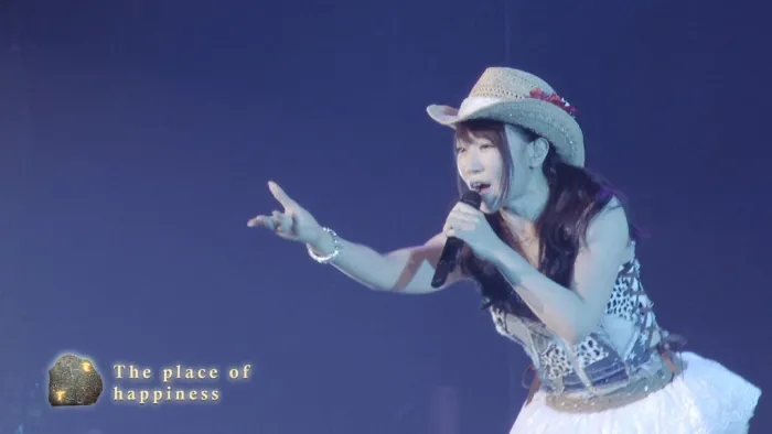 [BD日本演唱会][水树奈奈 Nana Mizuki – LIVE ADVENTURE 2015][2BD ISO][90.9G][百度网盘]