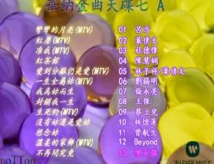 华纳金曲天碟7-A DVD音乐专辑3.65G 百度网盘资源-小文资源网