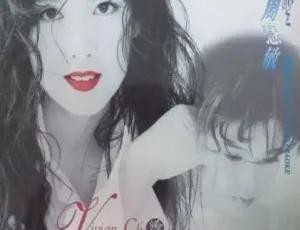 周慧敏宝丽金碟圣原装音乐视频卡拉OK 2DVD ISO百度网盘资源（3.41G+3.51G）-小文资源网