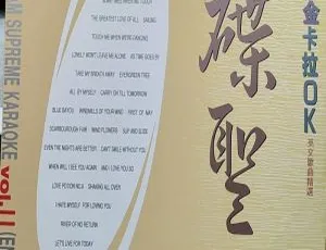 宝丽金卡拉OK碟圣11英文歌曲精选2DVD ISO 3.36G+3.10G 百度网盘下载-小文资源网