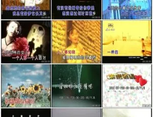 群星《中国星MTV金碟2》LD转DVD音乐专辑ISO 4.10G+4.21G 百度网盘资源-小文资源网
