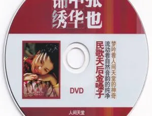 张也《锦绣中华 人间天堂》KTV 卡拉 OK DVD 音乐专辑碟 2.92G 百度网盘资源-小文资源网