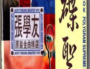 张学友《碟圣 原装卡拉OK精选 VOL.1》LD转DVD 4.19G+4.02G 百度网盘音乐专辑碟-小文资源网