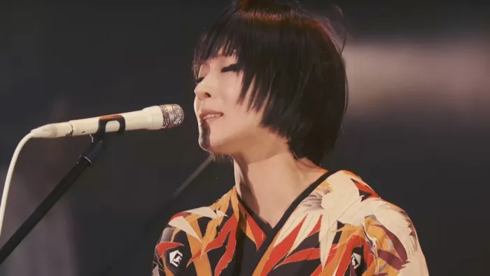 [BD日本演唱会]Shiina Ringo to Kyatsura ga Yuku Hyakkiyakou 2015 椎名林檎と彼奴等がゆく 百鬼夜行2015[BDMV][2BD][46.4G][百度网盘]