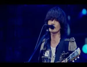 BD 珍藏！BUMP OF CHICKEN 2016 日产体育场 “BFLY” 演唱会全程[41.3G 百度网盘]-小文资源网