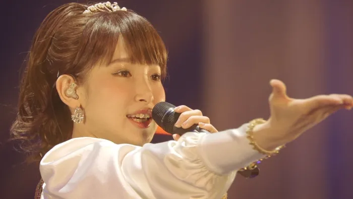 [BD日本演唱会][南条爱乃 fripside live tour 2016-2017 final in saitama super arena -run for the 15th anniversary][3BD BDMV][84.9G][百度网盘]