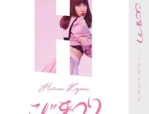 AKB48 小岛阳菜毕业演唱会こじまつり～Kojiharu 感谢祭 2017 BD 5BD 153G 百度网盘资源-小文资源网