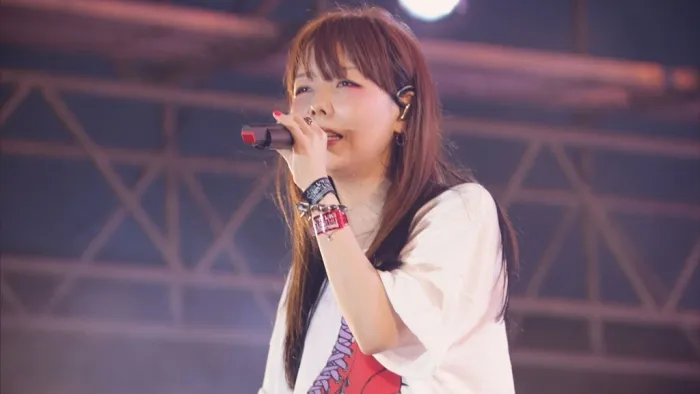 [BD日本演唱会][aiko – My 2 Decades 2017[2019][2BD ISO][67.3G][百度网盘]