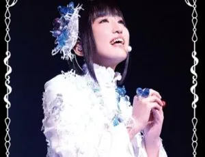 悠木碧 2015 日本首场演唱会 BDMV 高清资源 21.9G 百度网盘分享-小文资源网