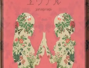 BD 珍藏！2013 年 yanaginagi 日本演唱会 euaru 限量版 CD+BD+BK 资源 9.73G 网盘速存-小文资源网