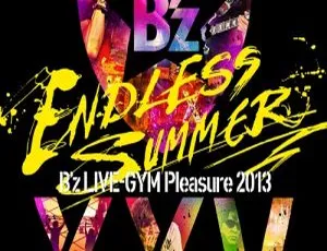 BD 珍藏！B z 2013 ENDLESS SUMMER -XXV BEST-日本演唱会，2BD 87.7G 百度网盘速存-小文资源网