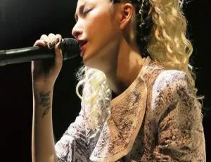 中岛美嘉 2013 日本演唱会 BD 资源 42.47G 百度网盘分享-小文资源网